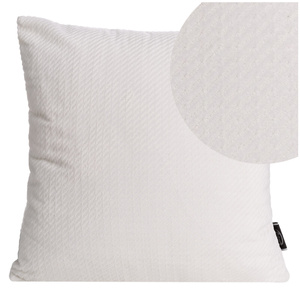 40 x 40 Decorative Velvet Pillowcase Eliza White