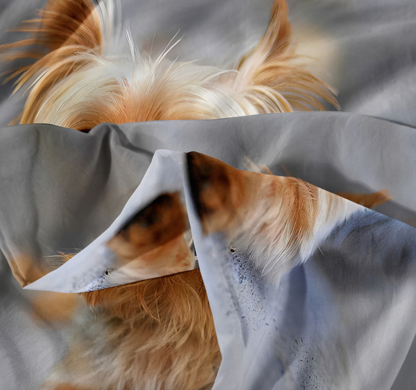 Pościel 140 x 200 2cz Mikrofibra 3D Andreas 1499