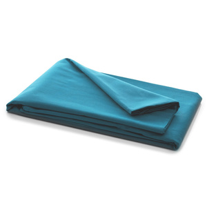 Aloiso 21 Cotton Flat Sheet 200 x 220 Without Elastic