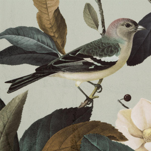 Eleni Decorative Curtain 140 x 250 Olive Splendor