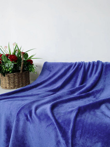 Blanket 200 x 220 Microfiber Solid Juana 05