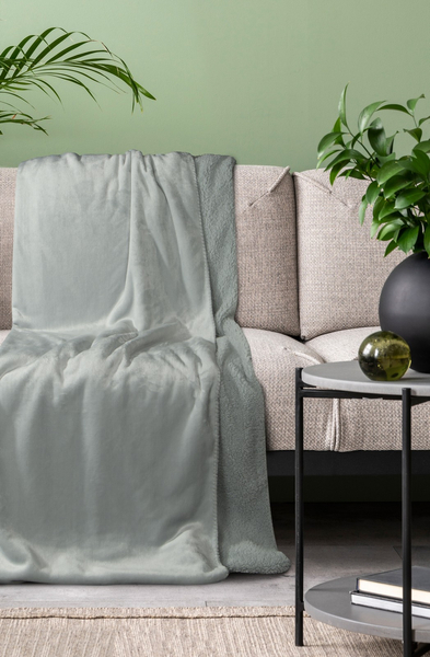 Blanket 150 x 200 Microfiber Two-sided Tedy Silver