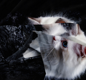 Pościel 140 x 200 2cz Mikrofibra 3D Andreas 1491