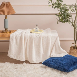 200 x 220 Plush Microfiber Willy Cream Blanket
