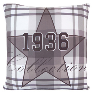 Astre Decorative Pillowcase 40 x 40 Ashen