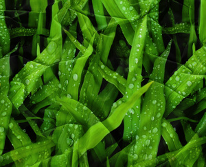 Pościel 160 x 200 3cz Satynowa Maria 2699