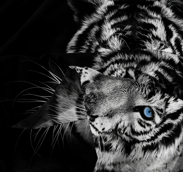 Pościel 160 x 200 3cz Mikrofibra 3D Andreas 3023