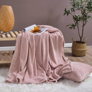 Blanket 200 x 220 Microfiber Jacquard Monte Powdered