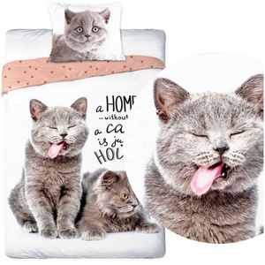 Pościel Młodzieżowa Bawełniana 338 Best Friends 140x200NP 2 części 70x90