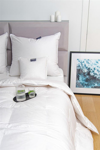 Kołdra 180 x 200 Natural Exclusive Queen City