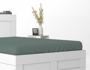 Bed sheet 160 x 200 Satin with elastic band Pure 09