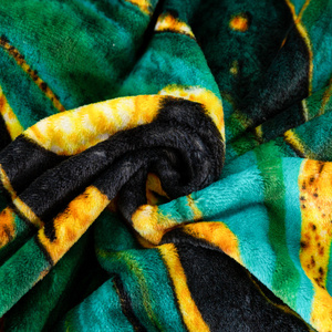 Koc 160 x 200 Mikrofibra Gładka Inger 14